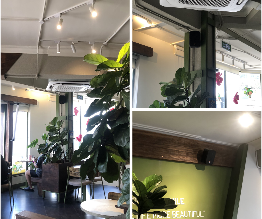 loa cho cham cafe 1